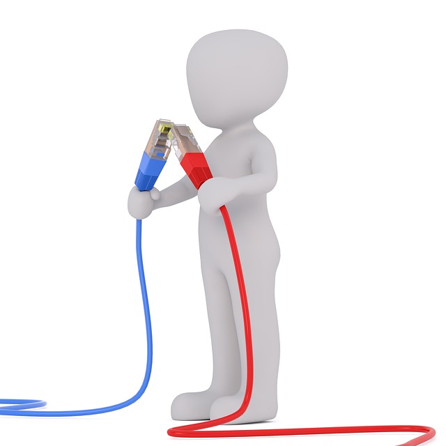 3D white figure holding blue and red ethernet cables