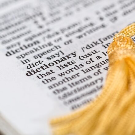 digital media literacy