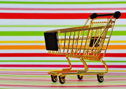 Ecommerce Mobile App Development: Costs, Advanced Features, and Strategic Choices