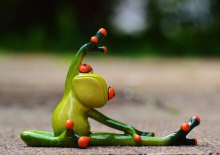 fitness app development process
