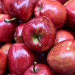 grocery delivery app development process