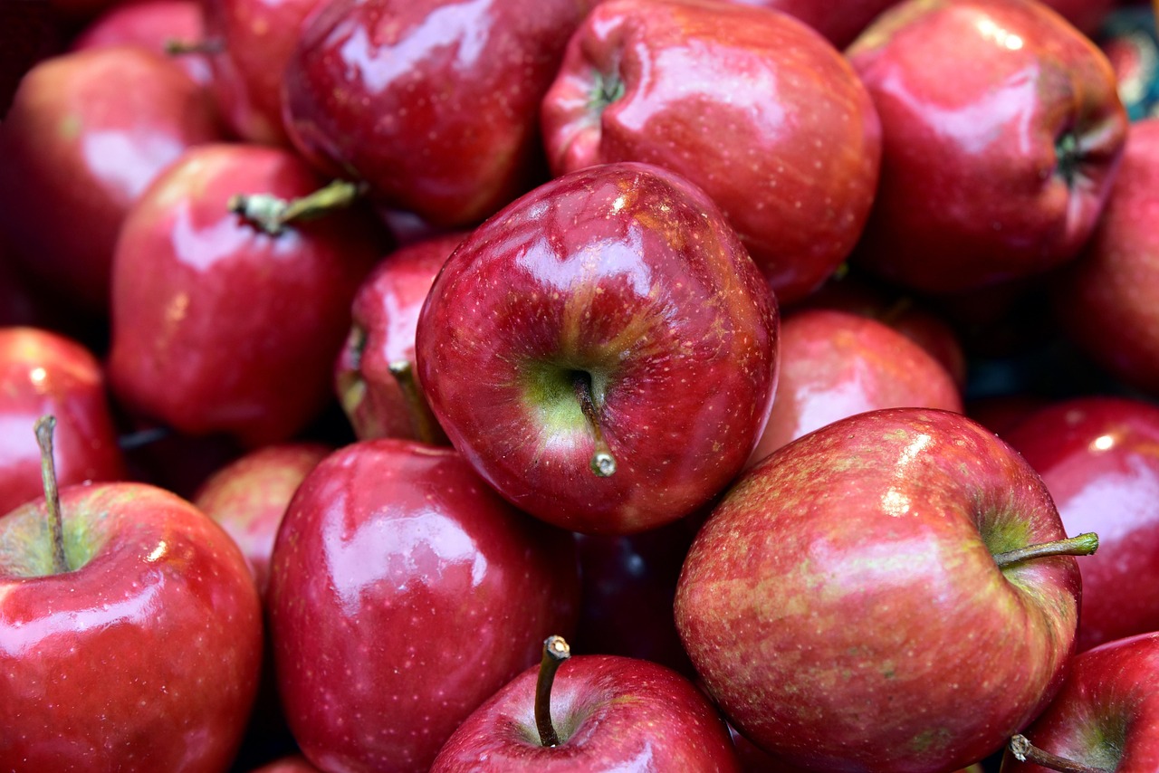Grocery Delivery App Development USA: Strategic Guide