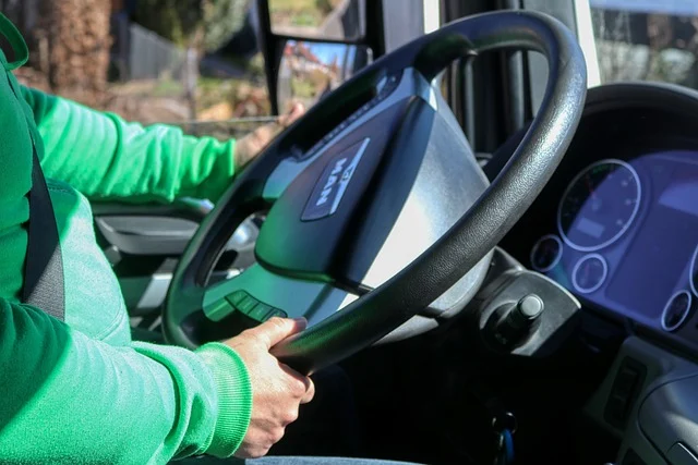 A driver's hands holding the steering wheel of a truck