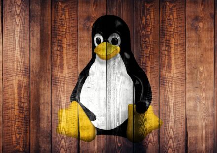 best linux notebook
