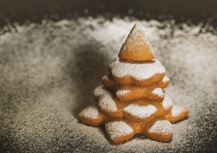 onexsugar sugar 1