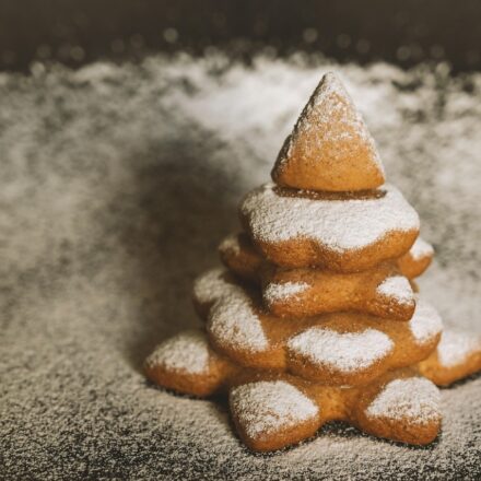 onexsugar sugar 1