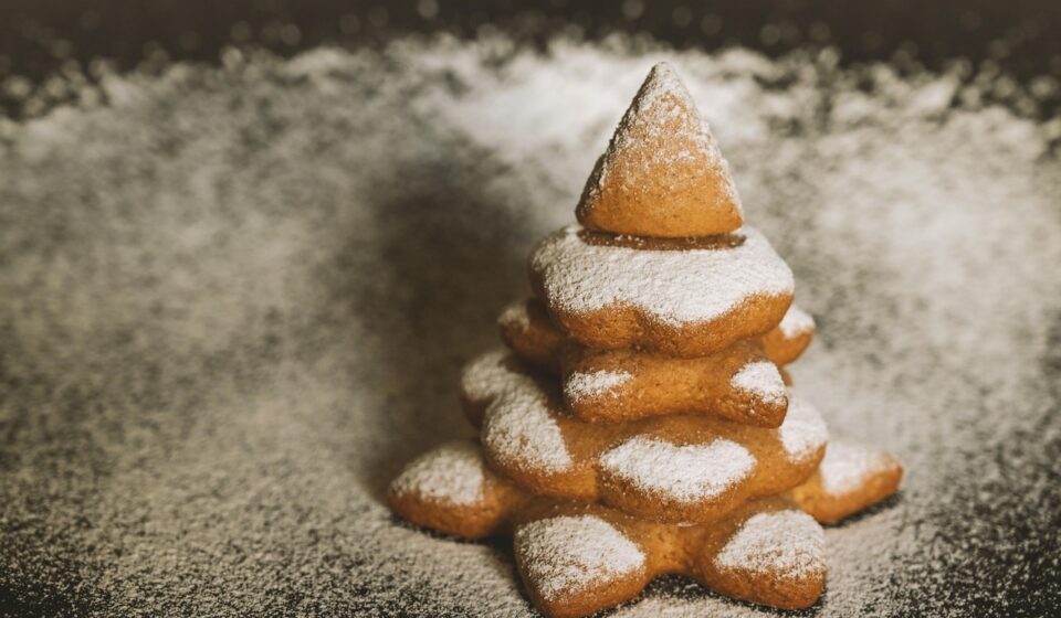 onexsugar sugar 1