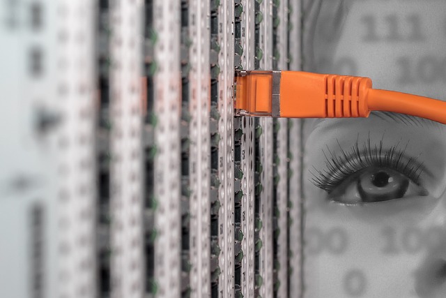 An orange network cable plugged into server hardware with an overlaid eye