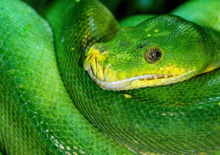 python circular color gradient example