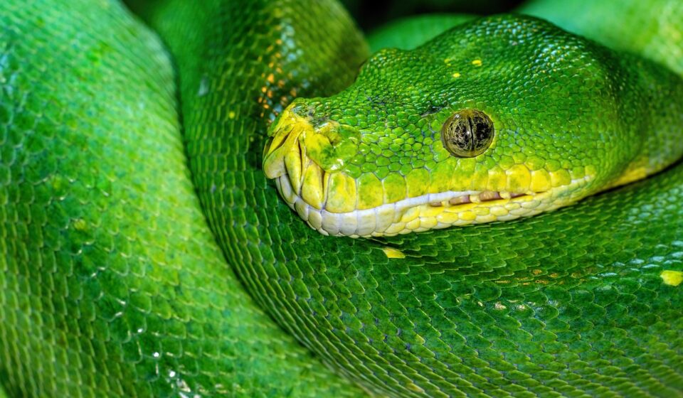 python circular color gradient example