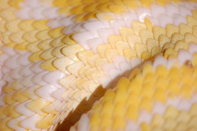 Python code snippet showing 'with open' statement for file writing