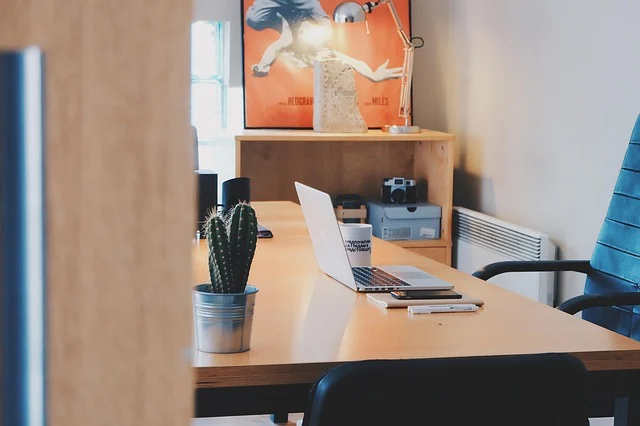 A laptop on a desk in an office setting, with a cactus.