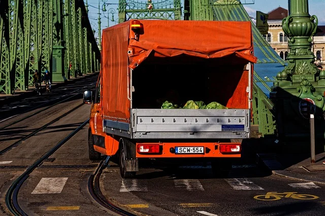 Scratch Logistics Mobile App Development Cost And Advanced Features: An orange delivery truck on a bridge, carrying goods.
