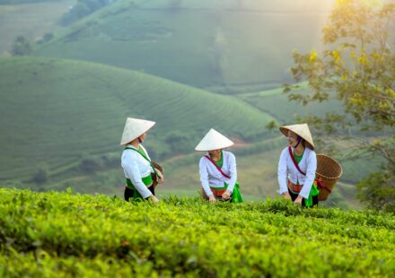 Vietnam EdTech development team
