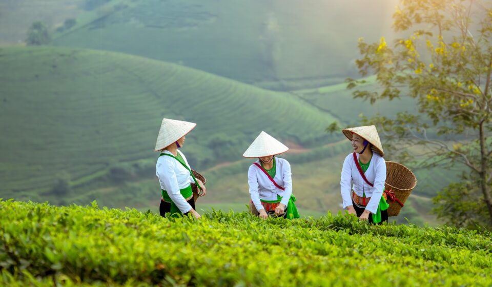 Vietnam EdTech development team