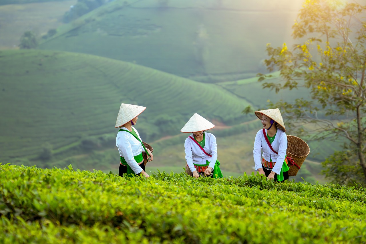 Education Software Development Company Vietnam: A Strategic Guide