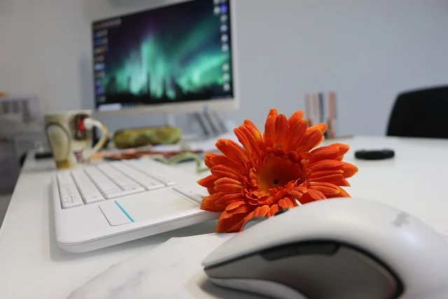 A desk with a computer, keyboard, mouse, and an orange flower.
