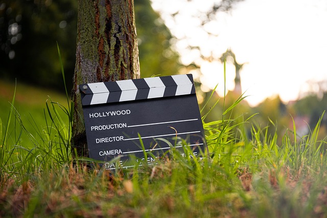A movie clapperboard leaning against a tree trunk in grass