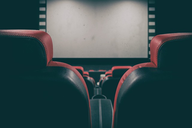 Empty cinema seats facing a blank movie theater screen