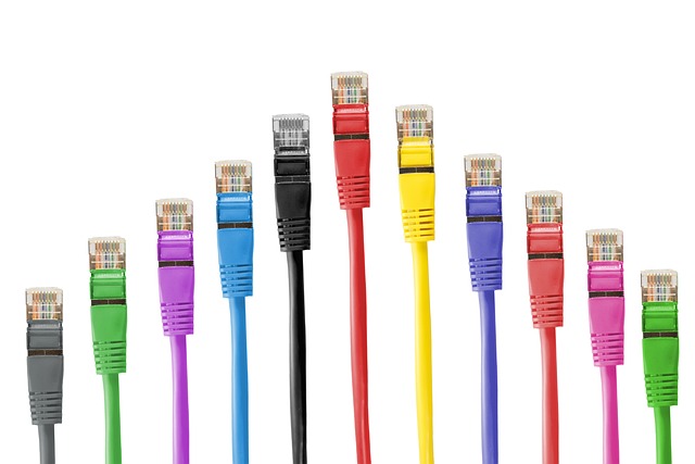 Multiple colorful ethernet cables on a white background