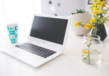 acer chromebook troubleshooting display