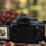 How to Fix Overexposed Photos: Recovering Lost Detail