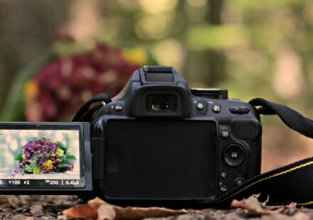 How to Fix Overexposed Photos: Recovering Lost Detail