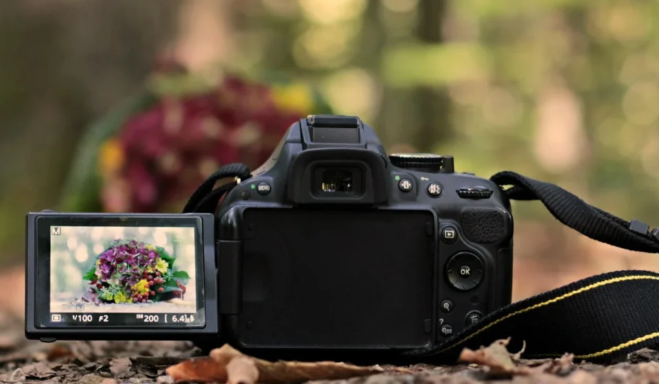 How to Fix Overexposed Photos: Recovering Lost Detail