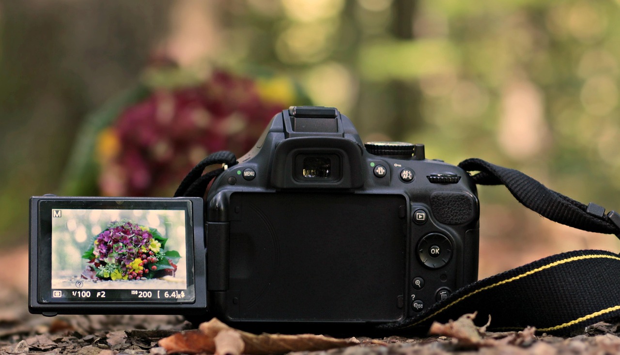How to Fix Overexposed Photos: Recovering Lost Detail