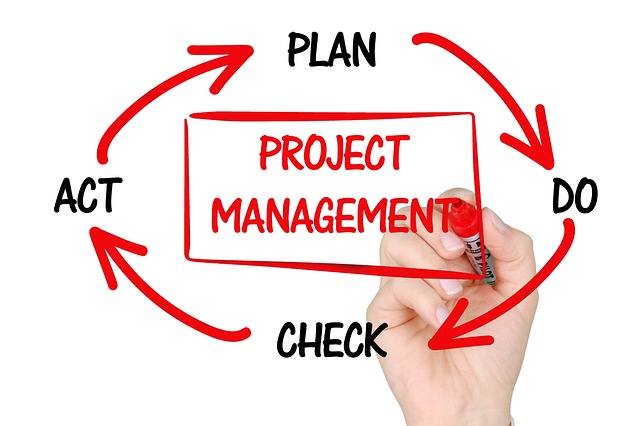 Diagram showing how project type, risk, and compliance influence test strategy choices (software testing strategies)