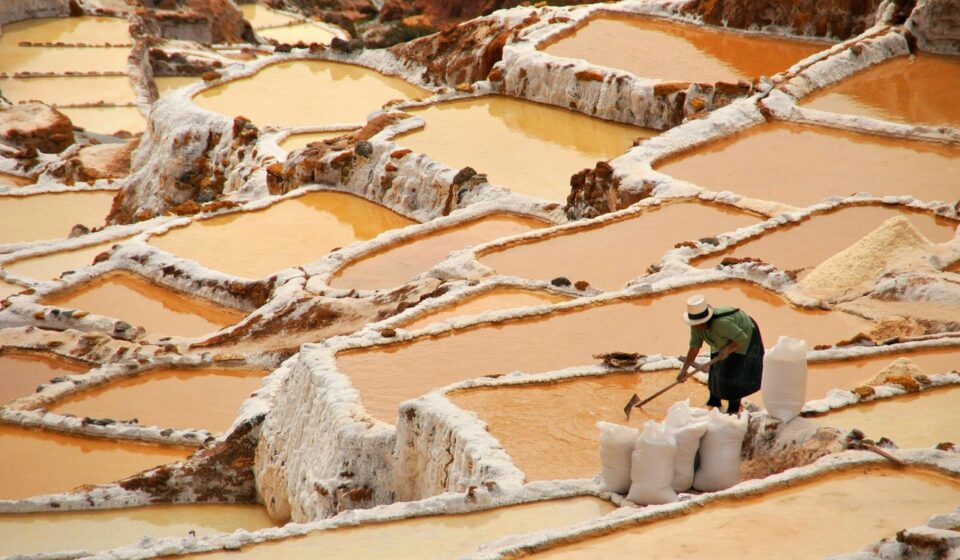 Peruvian informal worker