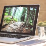 Running Python Code Online: Your Guide to Online Compilers