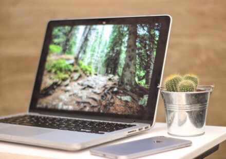 Running Python Code Online: Your Guide to Online Compilers