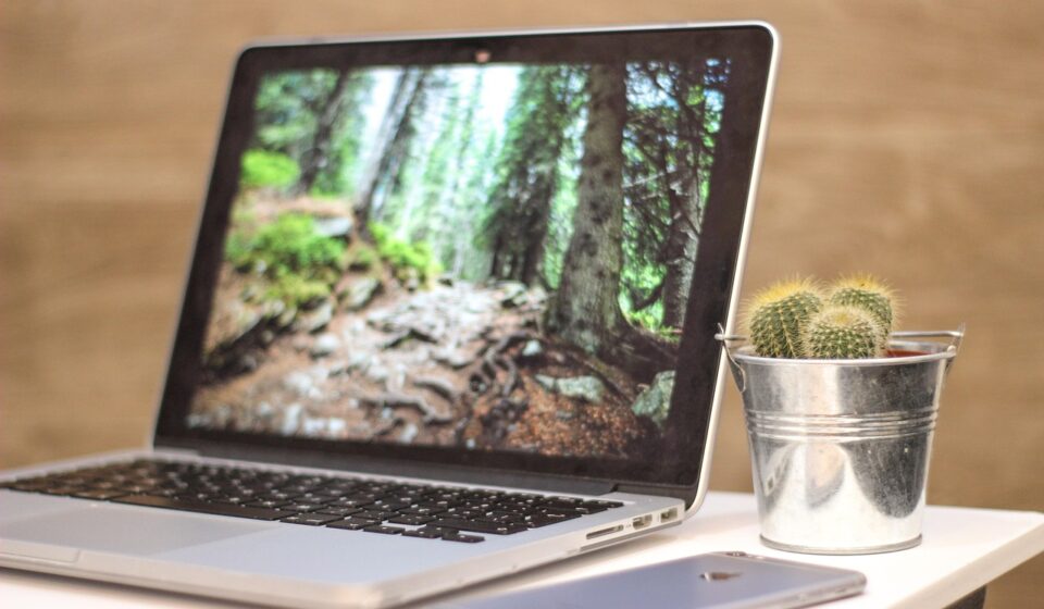 Running Python Code Online: Your Guide to Online Compilers