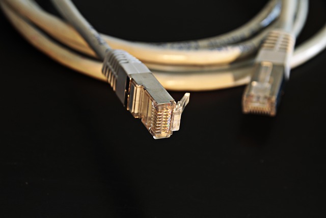 An Ethernet cable with RJ45 connectors on a dark surface