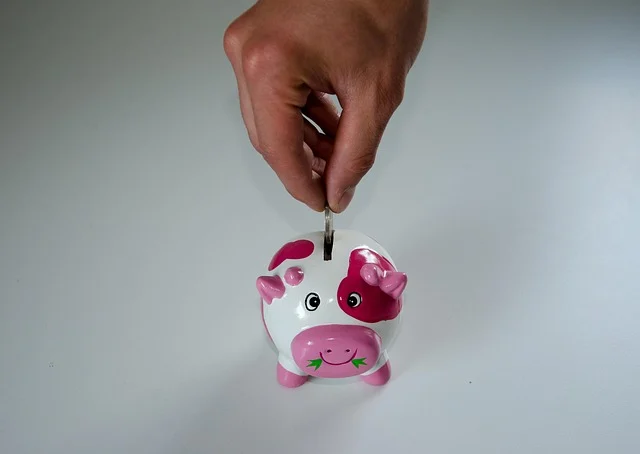 A hand putting a coin into a cow piggy bank