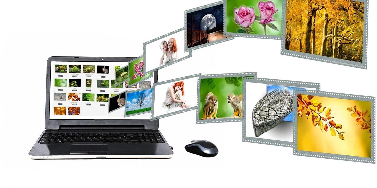 What Is grammarvista.com? Website Content and Overview