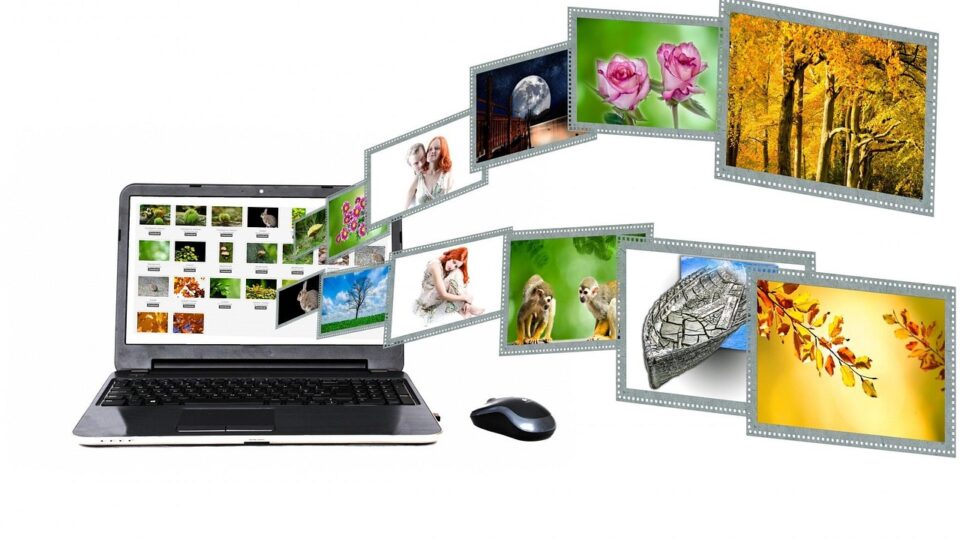 What Is grammarvista.com? Website Content and Overview