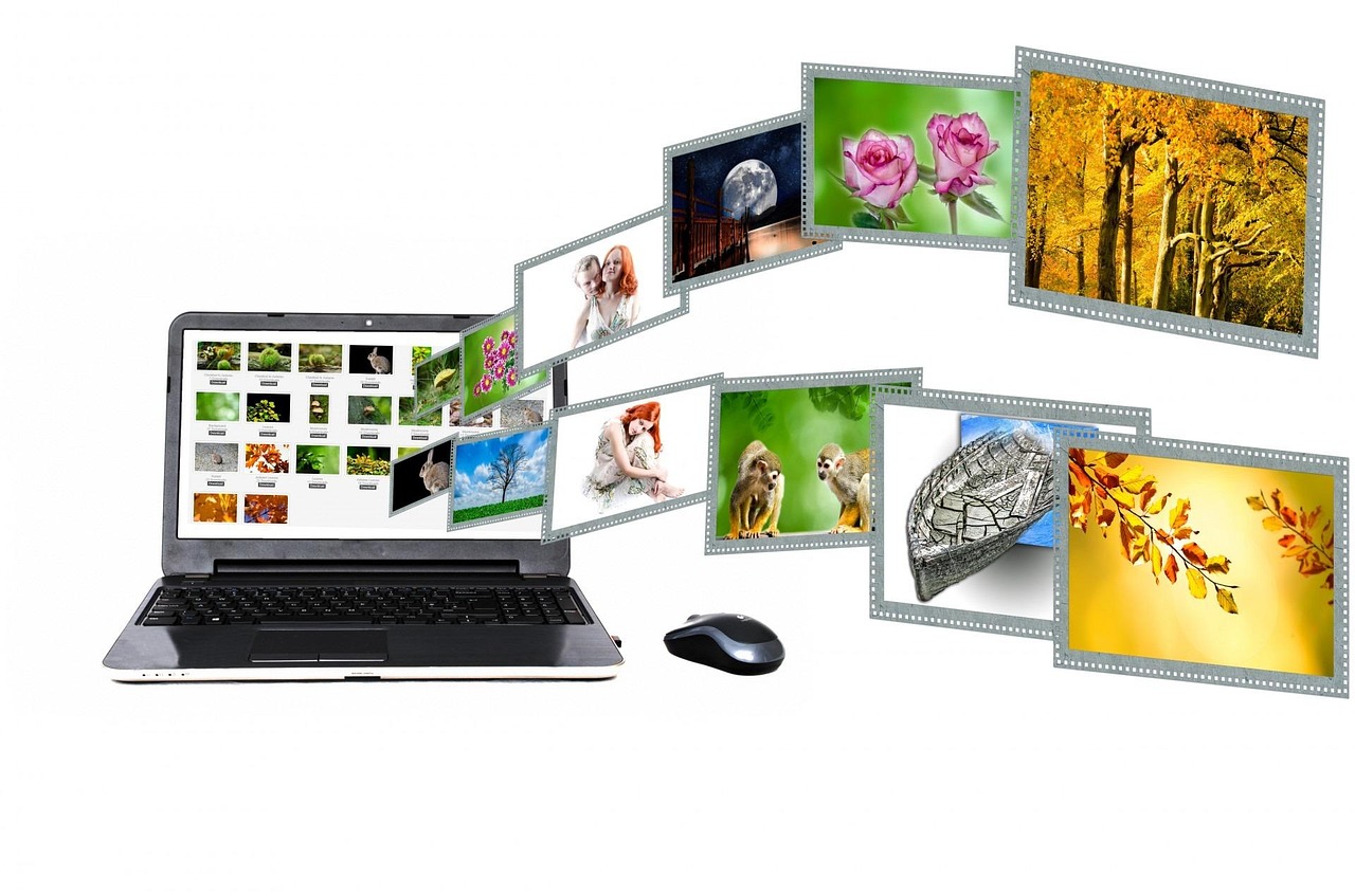 What Is grammarvista.com? Website Content and Overview