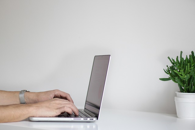 Hands typing on a laptop on a desk next to a plant