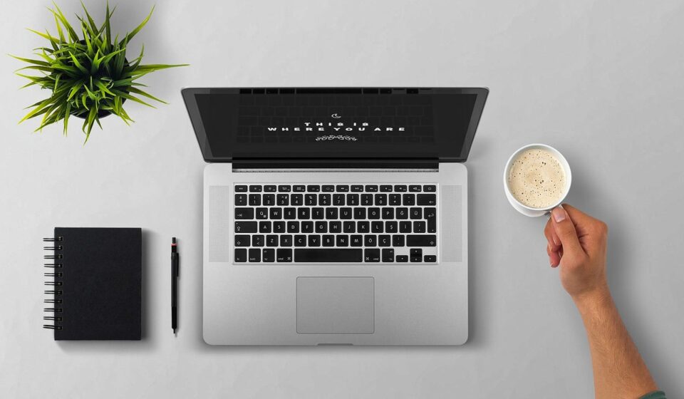 What tozymagazine.com Offers: Site Overview and Content Review
