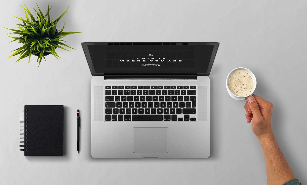 What tozymagazine.com Offers: Site Overview and Content Review