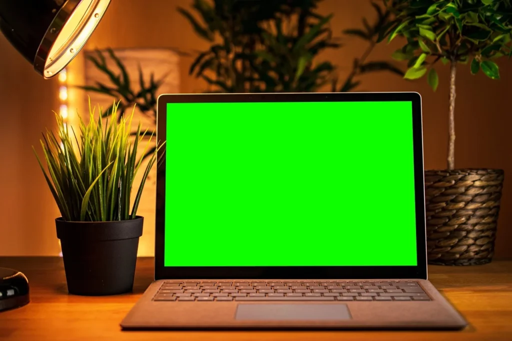 Laptop screen displaying a website with a padlock icon, symbolizing secure HTTPS connection.