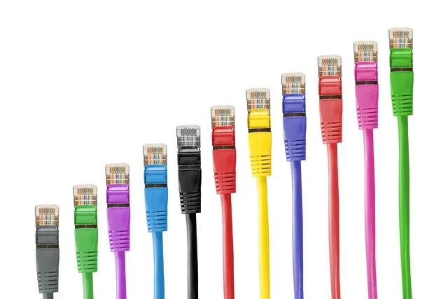 Colorful Ethernet network cables lined up against a white background