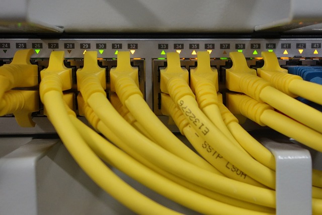 Yellow ethernet cables plugged into a network switch