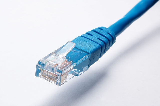 A blue ethernet cable connector