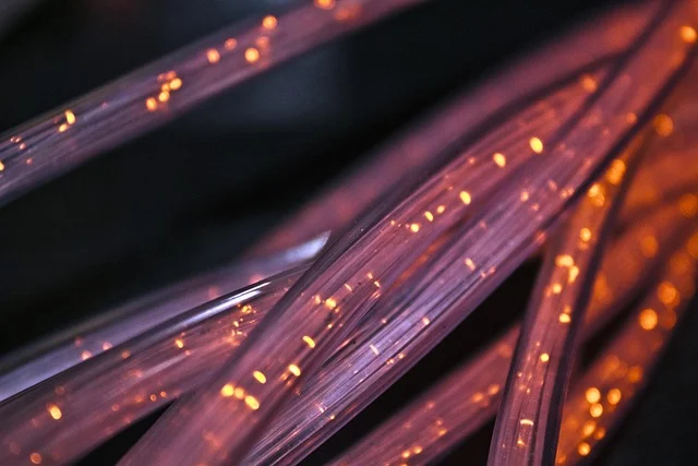 Close-up of fiber optic cables with glowing lights, representing data transmission.